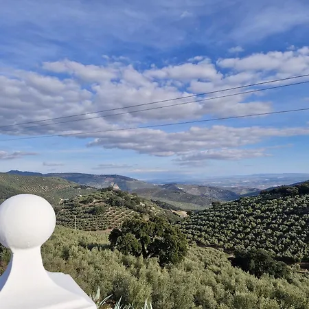 Guest house Casa Araflo